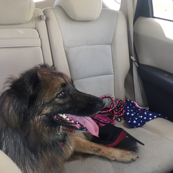 Cottonwood Glen Park S Overland Trail