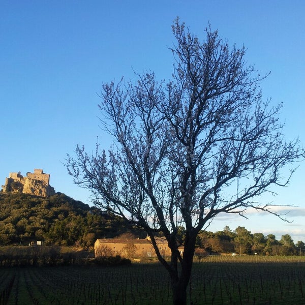 Foto scattata a Château Beauregard Mirouze da Nicolas M. il 7/24/2013