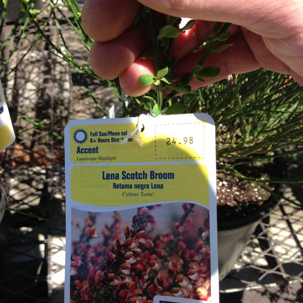 Lowe's Scarborough, ME