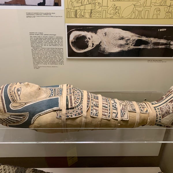 7/13/2019 tarihinde Nancy C.ziyaretçi tarafından Carnegie Museum of Natural History'de çekilen fotoğraf