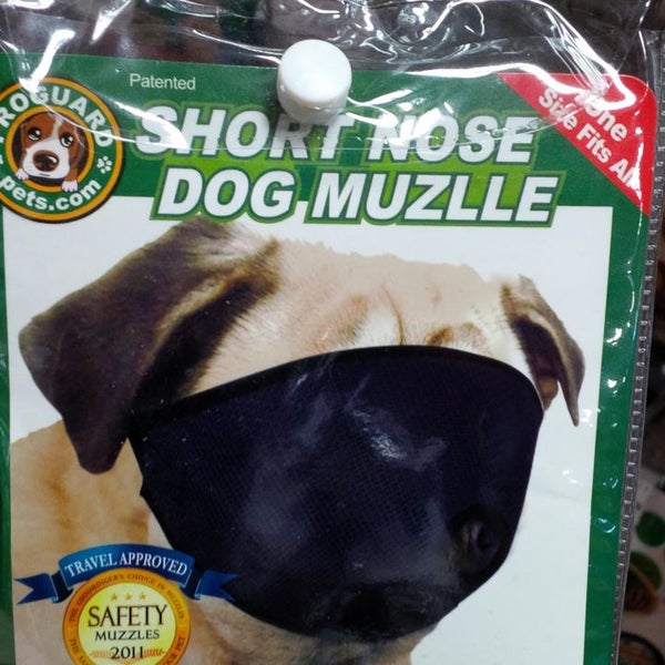 Ren's Pets Depot 8 tips