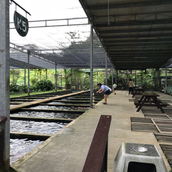 Photos at Mainland Tropical Fish Farm Pasir Ris 1 Pasir Ris Farmway 1