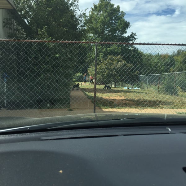 paw a day bowling green ky