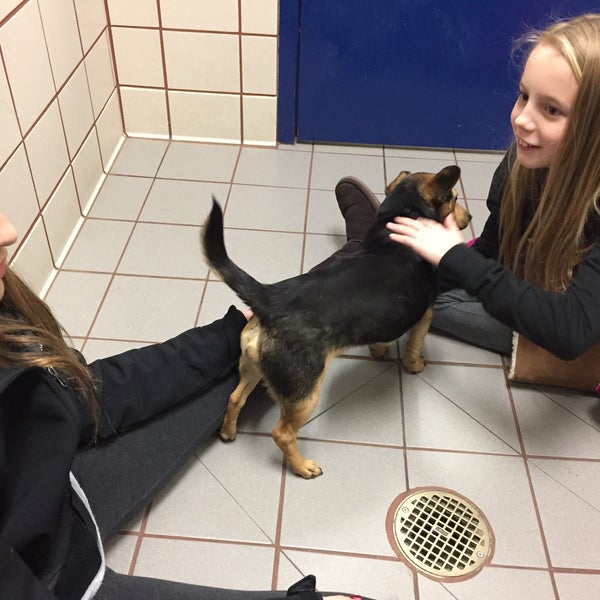 Animal Humane Society Coon Rapids Veterinarian in Minneapolis