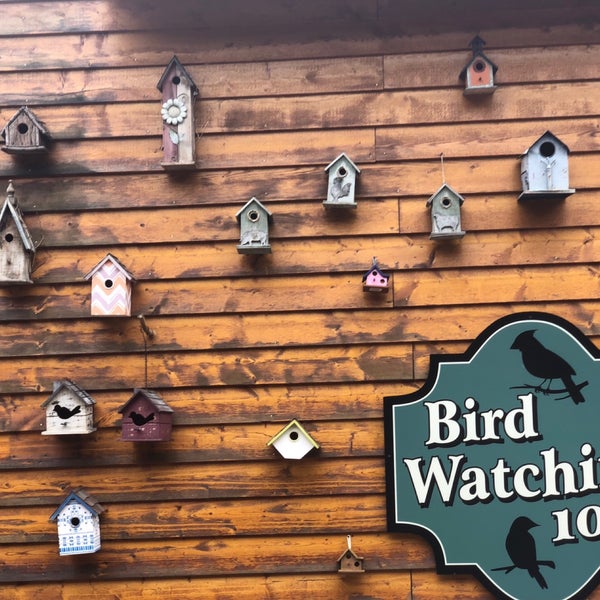 Photos At Denali River Cabins Cedars Lodge 1 Tip From 101 Visitors