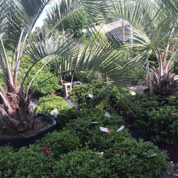 Harold�s Indoor Outdoor Plants Flower Shop in New Orleans