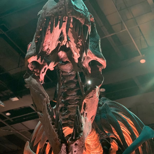 Das Foto wurde bei Houston Museum of Natural Science von Reese W. am 6/23/2019 aufgenommen