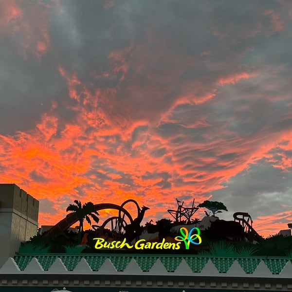 Снимок сделан в Busch Gardens Tampa Bay пользователем Daniel L. 10/8/2023