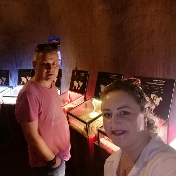 Photo taken at Funtastic Aquarium İzmir by Hatice Ş. on 6/18/2022
