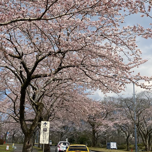 富士桜自然墓地公園 Cemetery 富士桜自然墓地公園 Cemetery