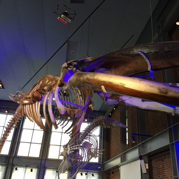 Foto tomada en New Bedford Whaling Museum  por Thomas T. el 7/21/2018