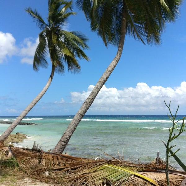Coconut Court Beach Beach in Christ Church