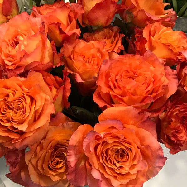 Allen's Flowers And Plants Flower Store in San Diego