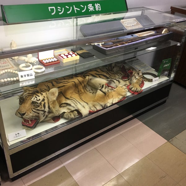 酒田海洋センター 2 Tips 酒田海洋センター 2 Tips