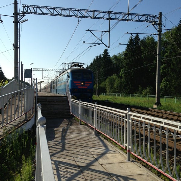 тосно трубниково. трубниково ленинградская область садоводство. тосно трубниково. трубников бор тосненский район. озера в трубниковом бору в тосненском районе ленобласти.