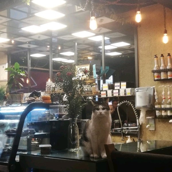 Photo taken at Black Ivory Coffee by Yeşil S. on 12/30/2019