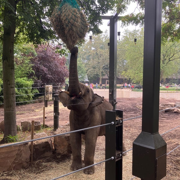 Photo taken at Zoo Antwerpen by Toine K. on 9/17/2023