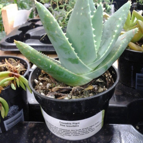 The Home Depot Lake Delton, WI