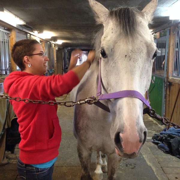 Centre Equestre Et Auberge La Martingale 5490 Boulevard Martel