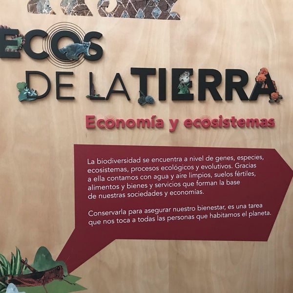 Photo prise au MIDE, Museo Interactivo de Economía par Nao T. le12/14/2019