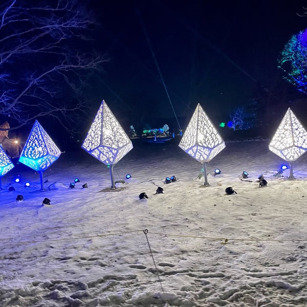 Illumination Light Display 4 visitors