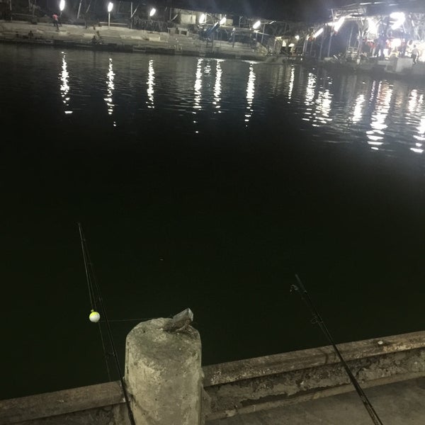 Hilltop Fishing Pond Lake