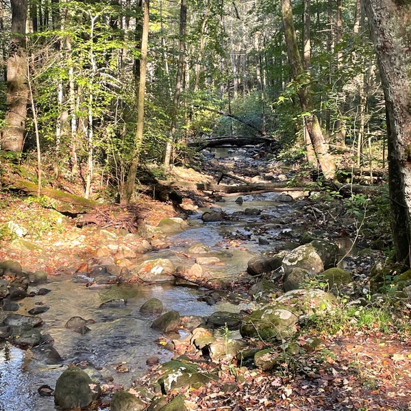 Frozen Head State Park State / Provincial Park