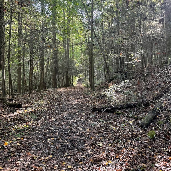 Frozen Head State Park State / Provincial Park