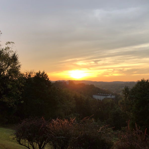 Jack Daniels BBQ Hill 3 tips