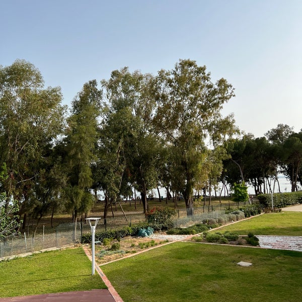 Park Beach детский клуб Кипр