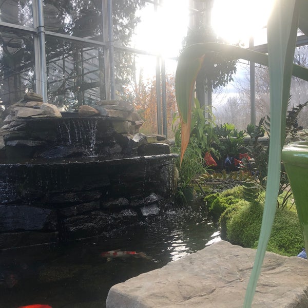 Photos At Gardener S Supply Company Garden Center In Williston