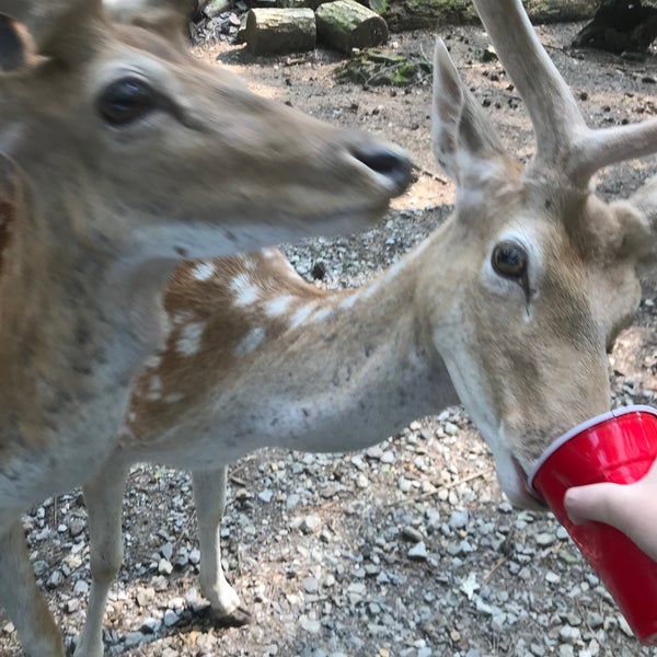 Harmony Park Safari Huntsville, AL