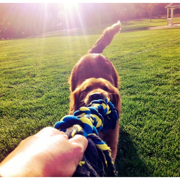 Hap Magee Ranch Park Danville'de Park