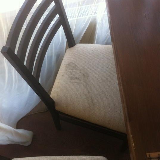 Тот неловкий момент в нашем кафе "Парус" когда наши стулья грязные и всем пофиг что гости делают замечание, валите в другое кафе!