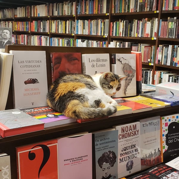 Photo taken at Librería El Virrey by Liz L. on 12/13/2018