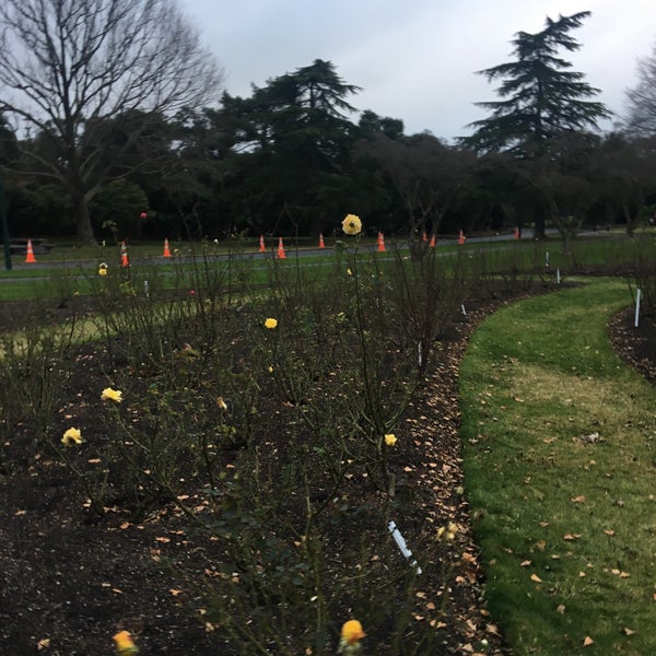 Klamath Falls Rose Garden Rotorua Central, Bay of Plenty