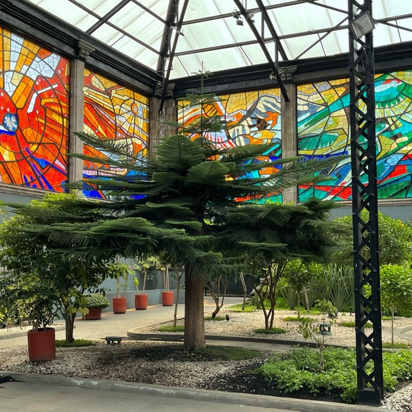 Photo taken at Cosmovitral (Jardín Botánico) by Sydney R. on 4/2/2022