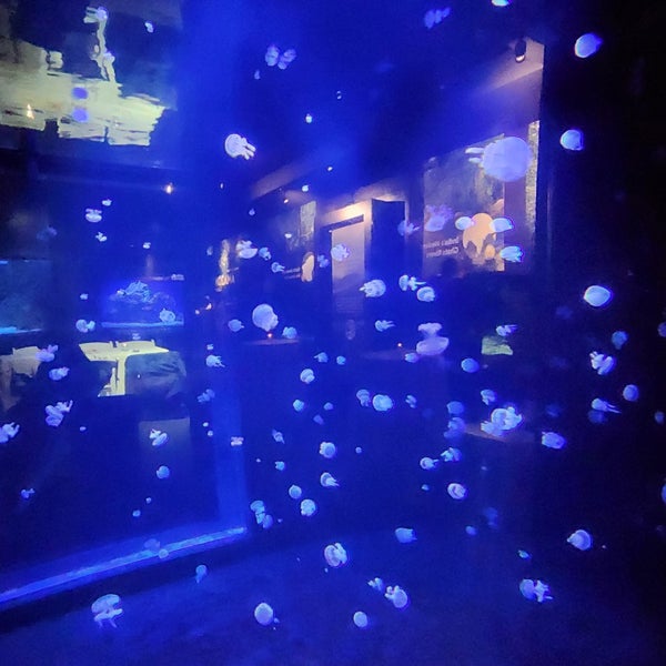 Photo taken at Vancouver Aquarium by Buster P on 3/14/2023