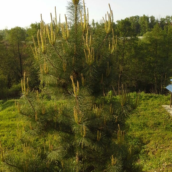 Timelapse 4x. 18 бронницы. 18 бронницы. Г бронницы  такси моего города. Город бронницы 107.