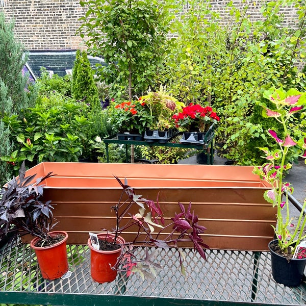 Fertile Gardens Lakeview 1 tip from 143 visitors