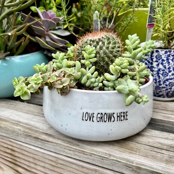 Fertile Gardens Lakeview 1 tip from 143 visitors