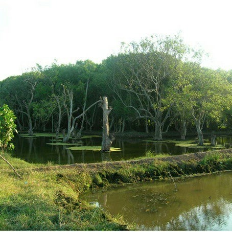 Photos At Pantai Pondok Bali Subang Jawa Barat