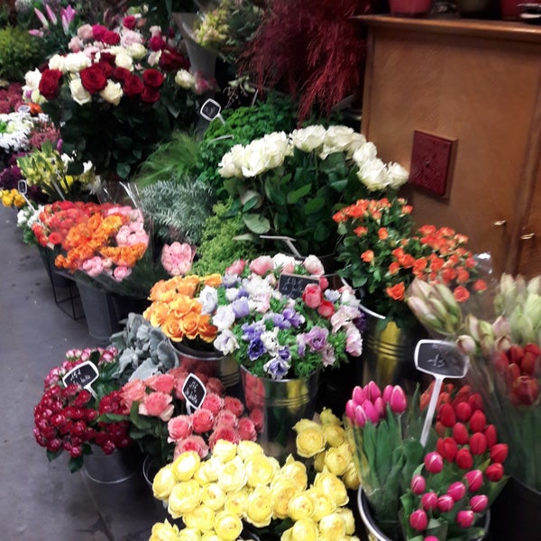 Lys Jardin