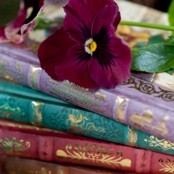 Yes books. Yes books. Год, когда я всему говорила да шонда раймс книга. Йо книга. Yes books волгоград.