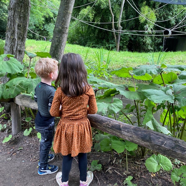 Das Foto wurde bei Zoo Parc Overloon von Marc B. am 8/2/2021 aufgenommen