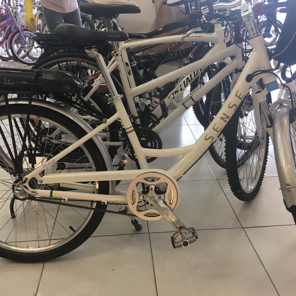 the ebike store
