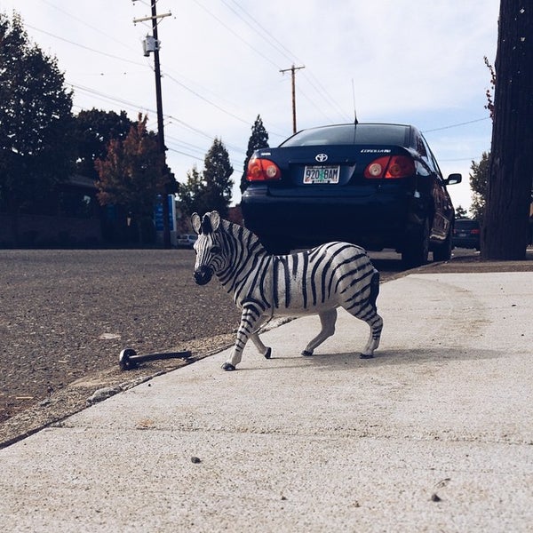 รูปภาพถ่ายที่ Green Zebra Grocery โดย Luke M. เมื่อ 10/13/2014