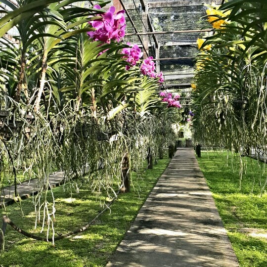 Photo taken at Sainamphung Orchids สวนกล้วยไม้สายน้ำผึ้ง by Valentin M. on 12/31/2014