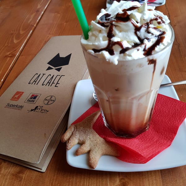 Cozy cafe with a relaxed atmosphere. Cute cats, delicious waffles and coffee.
