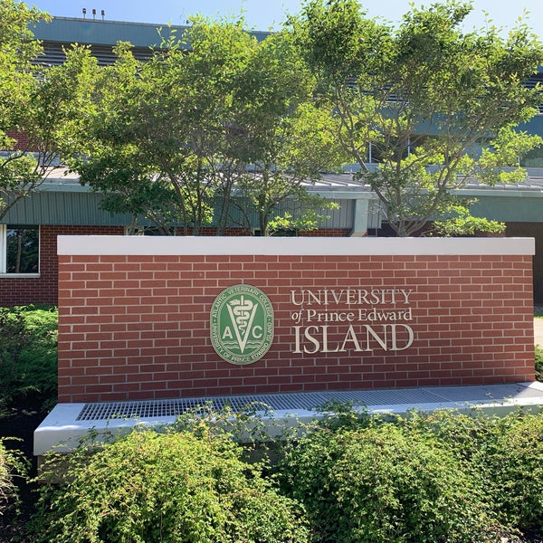 University Of Prince Edward Island >> Photos At University Of Prince Edward Island University University Of Prince Edward Island >> Photos At University Of Prince Edward Island University